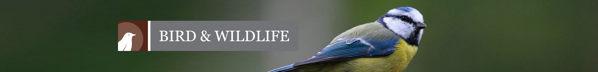 Bird & Wildlife Banner